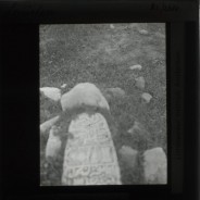 Böhl glass slide 32./2688